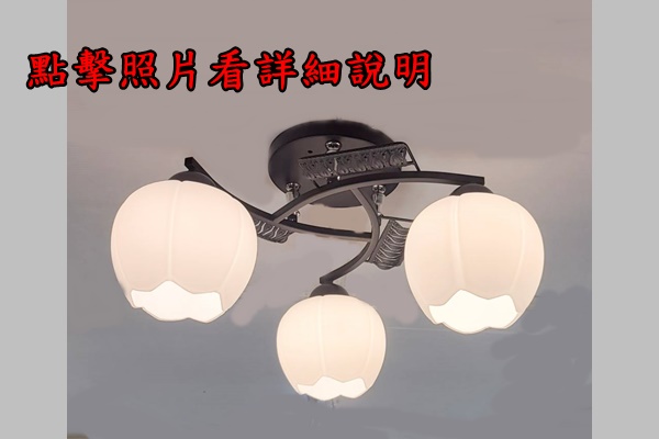 宏華燈飾，專業燈具安裝
